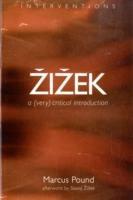 Zizek: A Very Critical Introduction