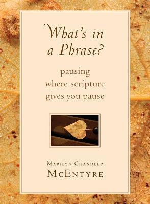 What's in a Phrase?: Pausing Where Scripture Gives You Pause - Marilyn Chandler McEntyre - cover