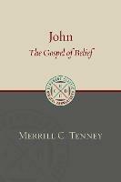 John: The Gospel of Belief: An Analytic Study of the Text