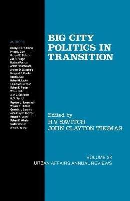 Big City Politics in Transition - cover