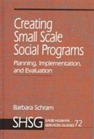 Creating Small Scale Social Programs: Planning, Implementation, and Evaluation - Barbara A. Schram - cover