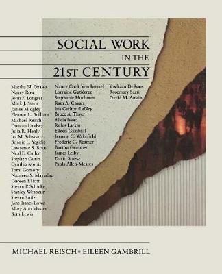 Social Work in the 21st Century - cover