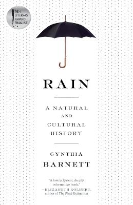 Rain: A Natural and Cultural History - Cynthia Barnett - cover