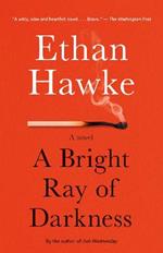 A Bright Ray of Darkness: A novel