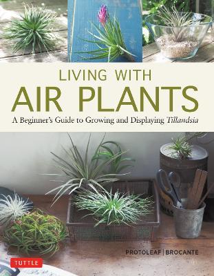 Living with Air Plants - Yoshiharu Kashima,Yukihiro Matsuda - cover