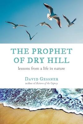 The Prophet of Dry Hill: Lessons from a Life in Nature - David Gessner - cover