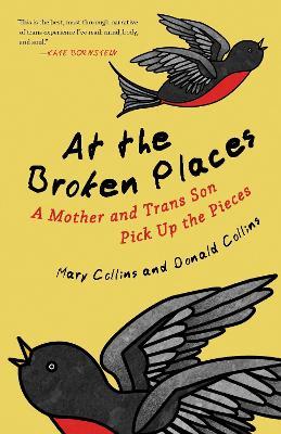 At the Broken Places: A Mother and Trans Son Pick Up the Pieces - Mary Collins,Donald Collins - cover