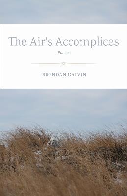 The Air's Accomplices: Poems - Brendan Galvin - cover