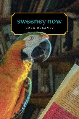 Sweeney Now - Greg Delanty - cover