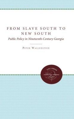 From Slave South to New South: Public Policy in Nineteenth-Century Georgia - Peter Wallenstein - cover