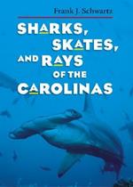Sharks, Skates, and Rays of the Carolinas