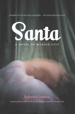 Santa: A Novel of Mexico City - cover