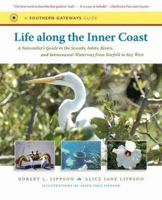 Life along the Inner Coast: A Naturalist's Guide to the Sounds, Inlets, Rivers, and Intracoastal Waterway from Norfolk to Key West - Alice Jane Lippson - cover