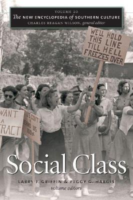 The New Encyclopedia of Southern Culture: Volume 20: Social Class - cover
