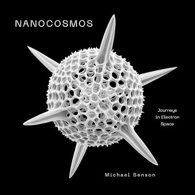 Nanocosmos: Journeys in Electron Space - Michael Benson - cover