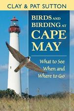 Birds and Birding at Cape May: What to See, When and Where to Go