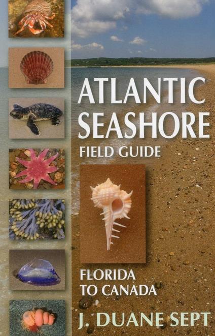 Atlantic Seashore Field Guide
