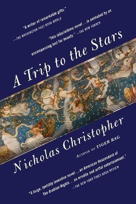 A Trip to the Stars: A Novel - Nicholas Christopher - cover
