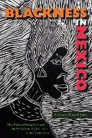 Blackness in Mexico: Afro-Mexican Recognition and the Production of Citizenship in the Costa Chica