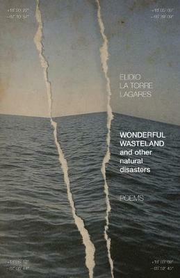 Wonderful Wasteland and other natural disasters: Poems - Elidio La Torre Lagares - cover