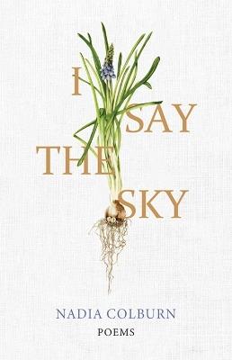 I Say the Sky: Poems - Nadia Colburn - cover