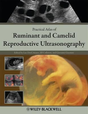 Practical Atlas of Ruminant and Camelid Reproductive Ultrasonography - cover