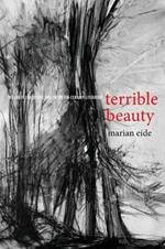 Terrible Beauty: The Violent Aesthetic and Twentieth-Century Literature