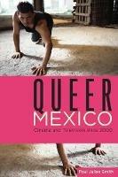 Queer Mexico: Cinema and Television since 2000