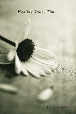 Healing Takes Time - David P. Gallagher - cover