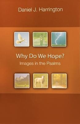 Why Do We Hope?: Images in the Psalms - Daniel J. Harrington - cover