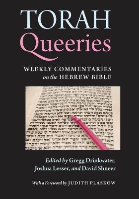 Torah Queeries: Weekly Commentaries on the Hebrew Bible - cover