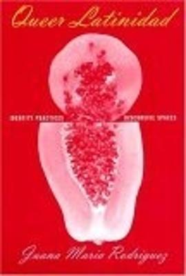 Queer Latinidad: Identity Practices, Discursive Spaces - Juana María Rodríguez - cover