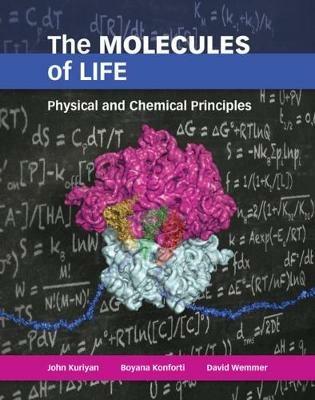 The Molecules of Life - John Kuriyan,Boyana Konforti,David Wemmer - cover