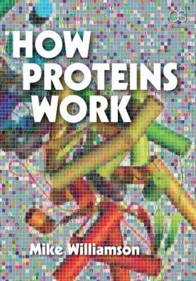 How Proteins Work - Michael Williamson - cover