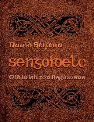 Sengoidelc: Old Irish for Beginners - David Stifter - cover