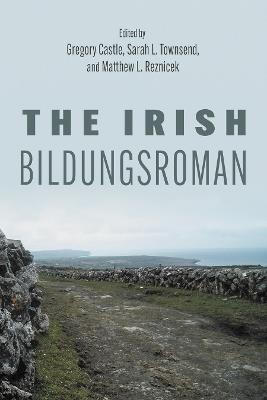 The Irish Bildungsroman - cover