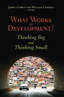 What Works in Development?: Thinking Big and Thinking Small - cover