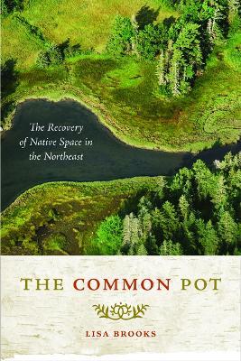 The Common Pot: The Recovery of Native Space in the Northeast - Lisa Brooks - cover