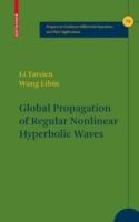 Global Propagation of Regular Nonlinear Hyperbolic Waves - Tatsien Li,Wang Libin - cover