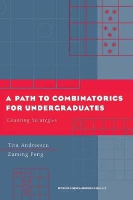 A Path to Combinatorics for Undergraduates: Counting Strategies - Titu Andreescu,Zuming Feng - cover