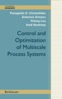 Control and Optimization of Multiscale Process Systems - Panagiotis D. Christofides,Antonios Armaou,Yiming Lou - cover