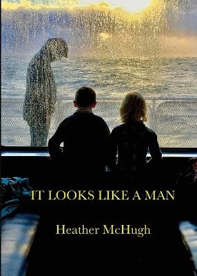 It Looks Like a Man - Heather McHugh - cover