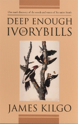 ibs
