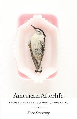 American Afterlife: Encounters in the Customs of Mourning - Kate Sweeney - cover