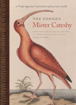 The Curious Mister Catesby: A "Truly Ingenious" Naturalist Explores New Worlds - cover