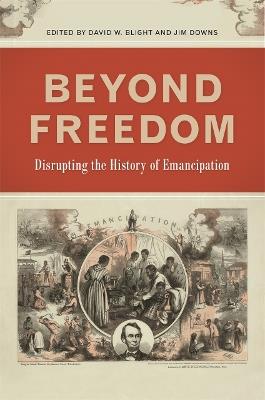 Beyond Freedom: Disrupting the History of Emancipation - cover