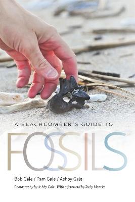 A Beachcomber's Guide to Fossils - Bob Gale,Pam Gale,Ashby Gale - cover