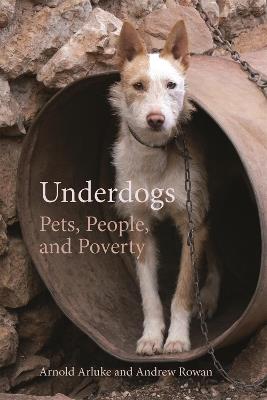 Underdogs: Pets, People, and Poverty - Arnold Arluke,Andrew Rowan - cover