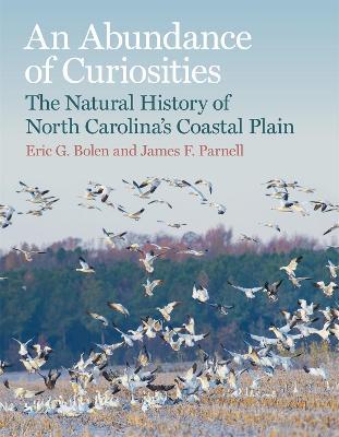 An Abundance of Curiosities: The Natural History of North Carolina's Coastal Plain - Eric G. Bolen,James F. Parnell,Tom Earnhardt - cover
