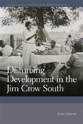 Disturbing Development in the Jim Crow South - Mona Domosh - cover